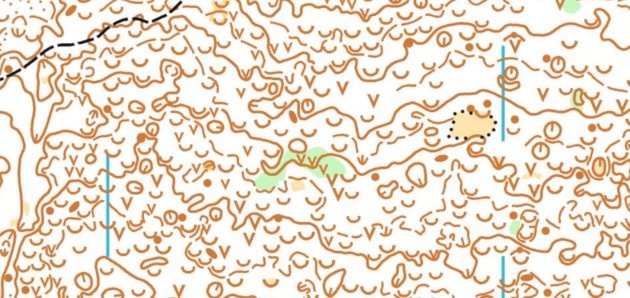 Orienteering pleasure